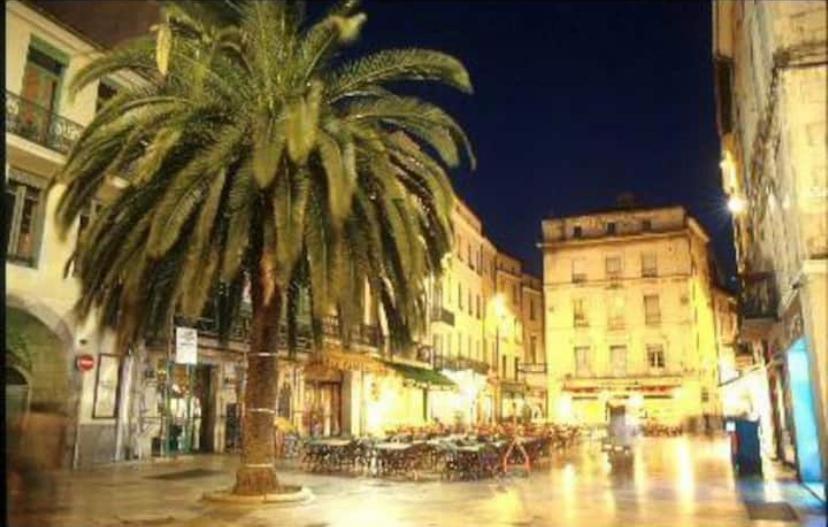 Studio Cosy Au Coeur De L'Ecusson - Arenes A 2 Min Nîmes Eksteriør billede